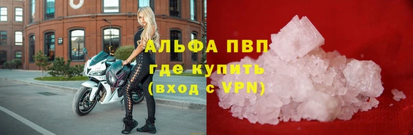 дживик Осташков
