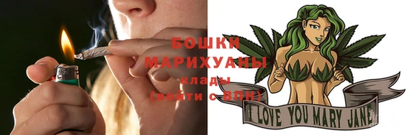 дживик Осташков