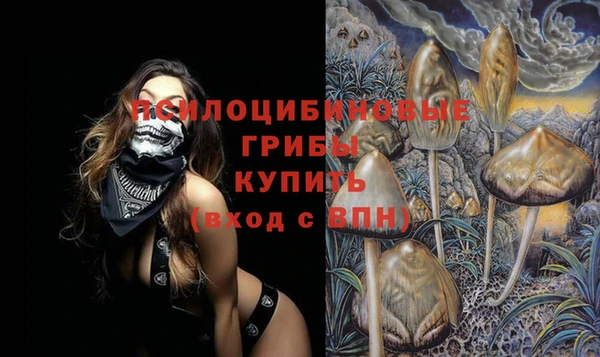 дживик Пересвет