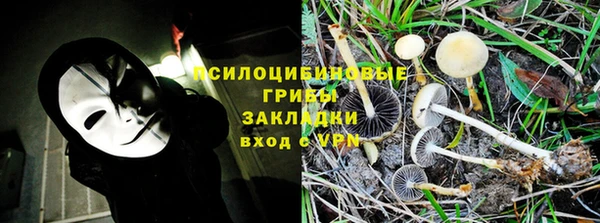 дживик Осташков