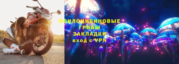 дживик Осташков